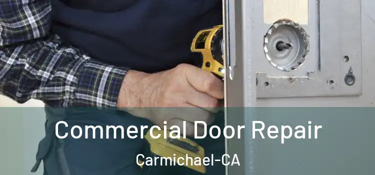  Commercial Door Repair Carmichael-CA