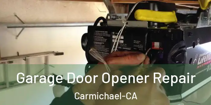  Garage Door Opener Repair Carmichael-CA