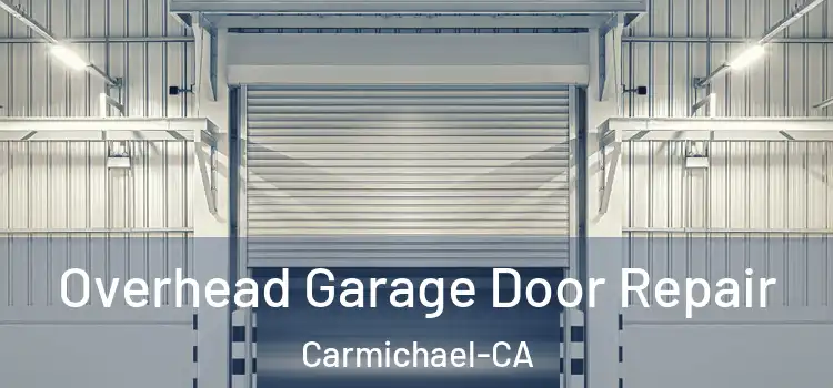 Overhead Garage Door Repair Carmichael-CA